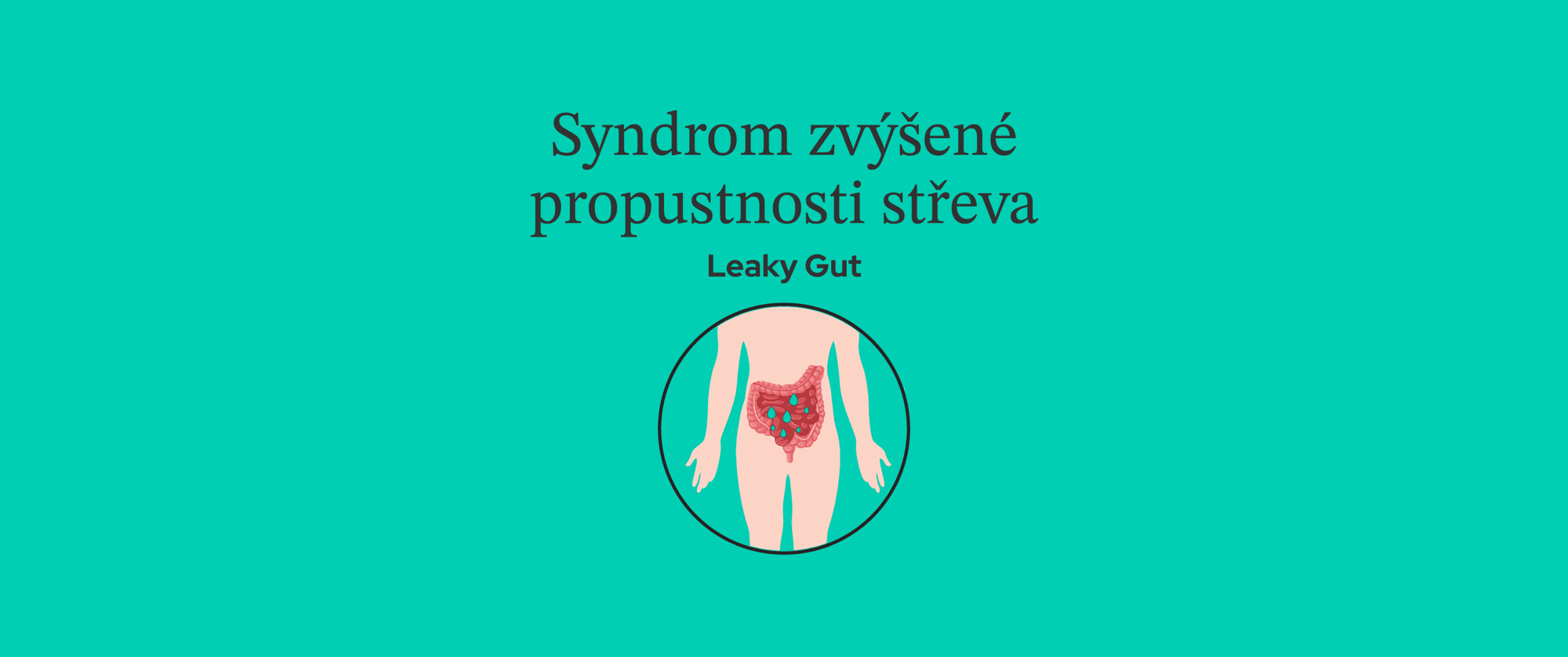 Syndrom zvýšené propustnosti střev: Jak vzniká, jak se mu vyhnout a jak podpořit léčbu?