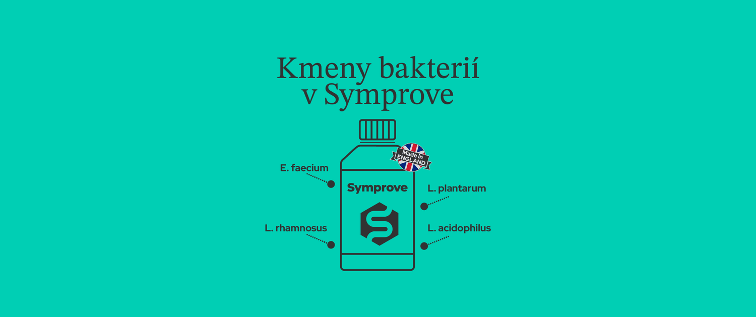 Lactobacily v Symprove: Jak si správně vybrat probiotika, a které kmeny bakterií jsou prospěšné?